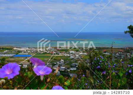 沖縄の海と朝顔の写真素材