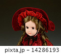フランス人形 14286193