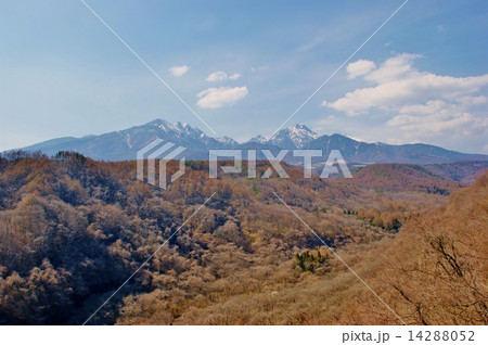 早春の八ヶ岳 14288052