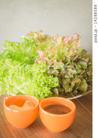 Fresh organic salad meal with dressing 14288589