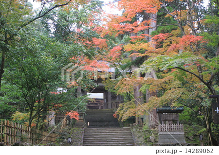 西明寺 14289062