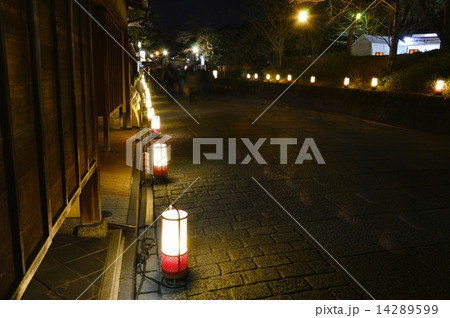 東山花灯路 ねねの道 東山花灯路 ねねの道 14289599