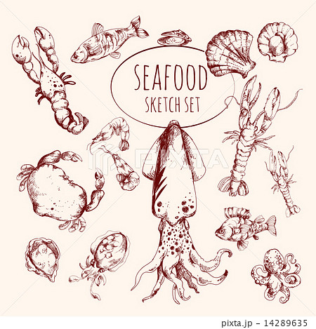 Seafood Sketch Set Seafood Sketch Set 14289635