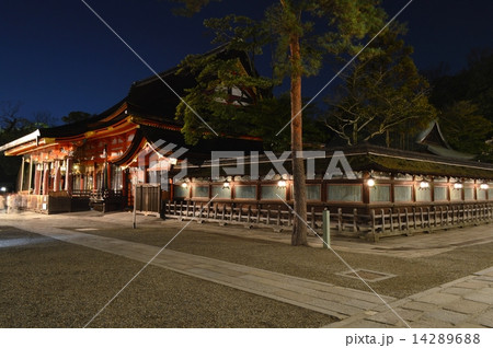 東山花灯路　八坂神社 14289688