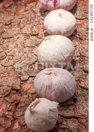 French garlic on tree bark 14289739