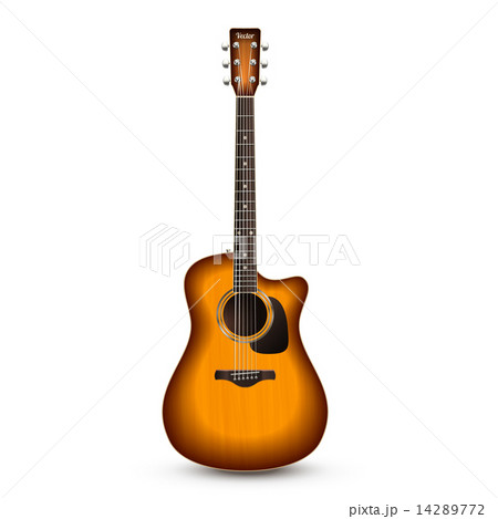 Guitar Realistic Isolated 14289772