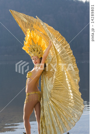 Samba girl 14289801
