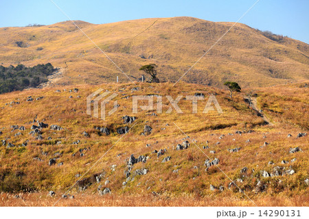 秋吉台 秋吉台 14290131