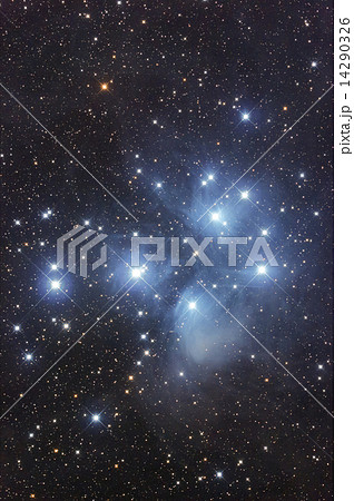 M45　スバル 14290326