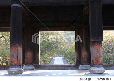 南禅寺 14290464