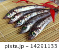 メヒカリ 14291133