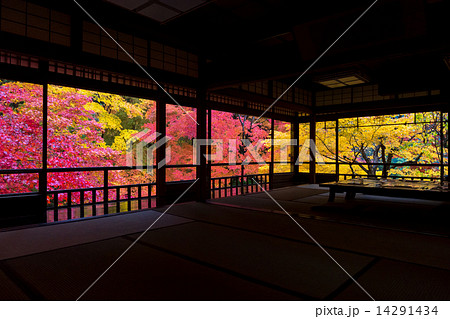 瑠璃光院の紅葉 瑠璃光院の紅葉 14291434