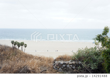 サンタモニカの海 14291488