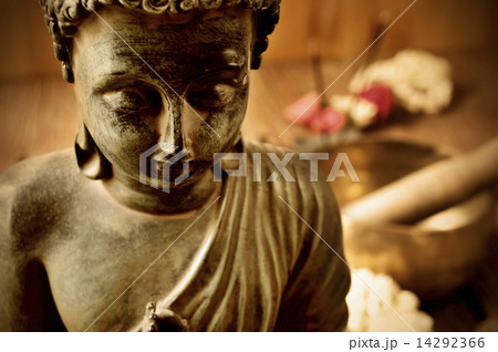 buddha buddha 14292366