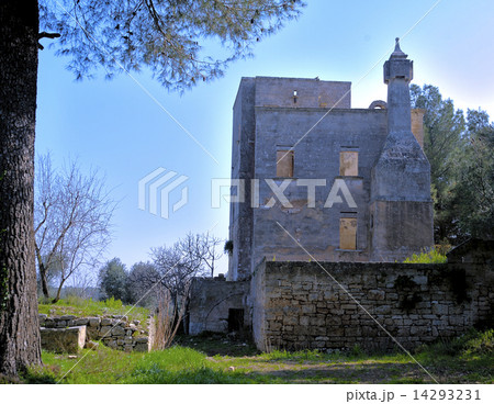 Old abandoned farmhouse in the middle of olive trees and stone walls in apulia Old abandoned farmhouse in the middle of olive trees and stone walls in apulia 14293231