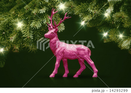 pink deer 14293299