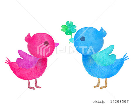 小鳥 鳥 カップル 告白 愛 結婚 ブライダル 見つめ合う 男女 青い鳥 幸せ 青色 ピンク のイラスト素材