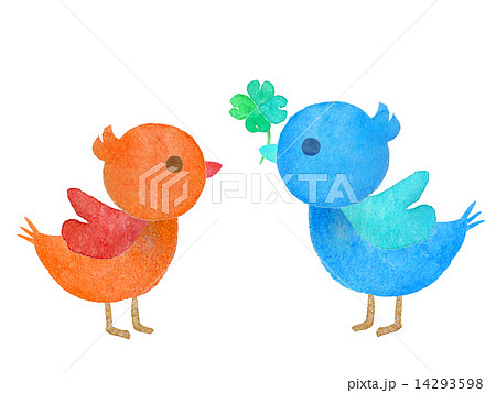 小鳥 鳥 カップル 告白 愛 結婚 ブライダル 見つめ合う 男女 青い鳥 幸せ 青色 ピンク のイラスト素材