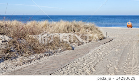 Panoramic picture of path on a beach. Panoramic picture of path on a beach. 14293629