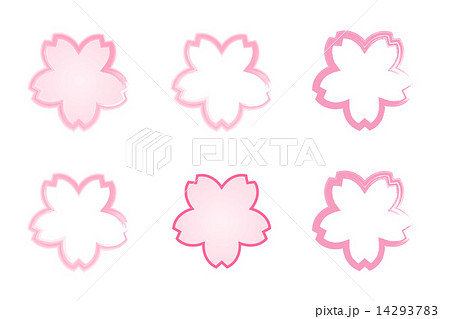 桜の花 ピンクと白のイラスト素材
