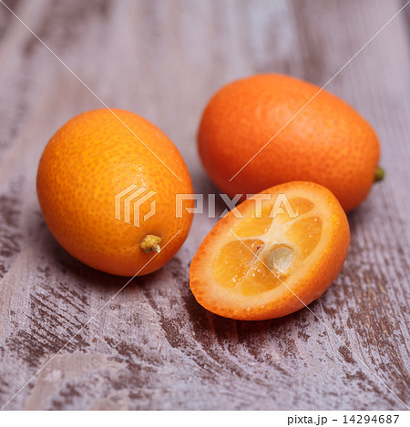 kumquat kumquat 14294687
