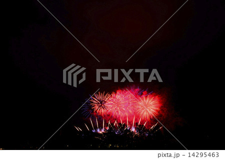 打ち上げ花火 打ち上げ花火 14295463