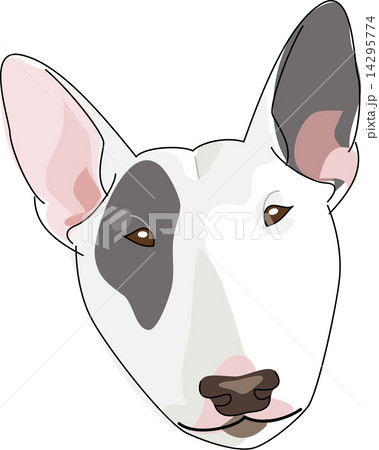犬 ブルテリア 14295774
