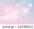 桜2 14296042