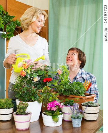 Two elderly women with flowerpots 14297722