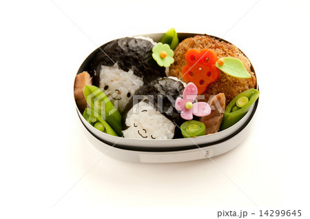 Lunch of girl motif Lunch of girl motif 14299645