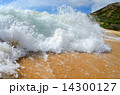 波 14300127