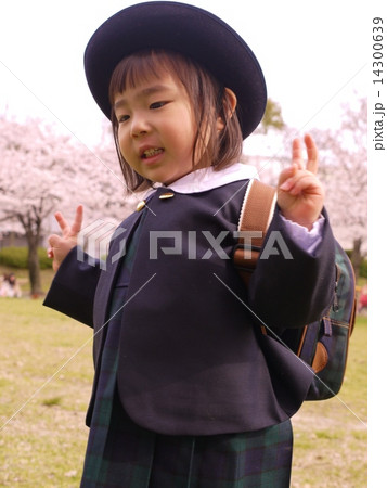 桜背景　園児　入園 14300639