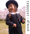 桜背景　入園式 14300641