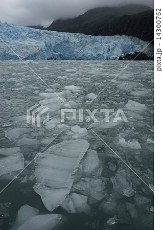 アラスカの氷河 アラスカの氷河 14300762