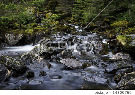 川の流れ 川の流れ 14300766