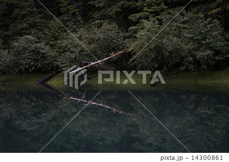 アラスカの海岸風景 14300861