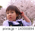 桜背景　髪をさわる女の子 14300894
