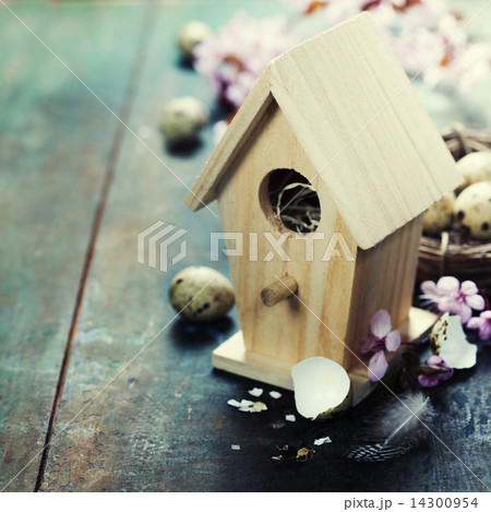 Easter 14300954