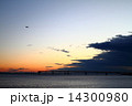 朝焼けの羽田 14300980
