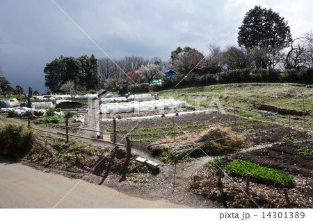 多摩市　南野　３月　東京 14301389