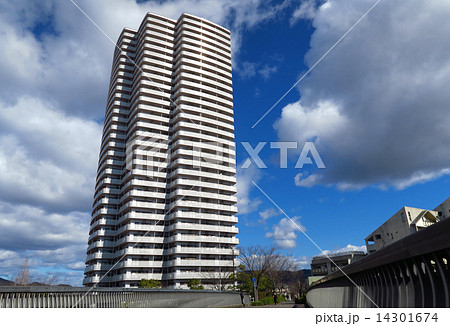 マンション マンション 14301674