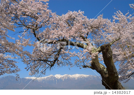 望岳荘 望岳荘 14302017
