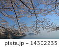 奥琵琶湖パークウェイ１ 14302235