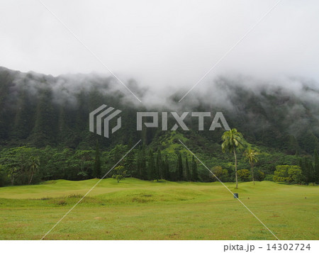 コオラウゴルフクラブ 14302724