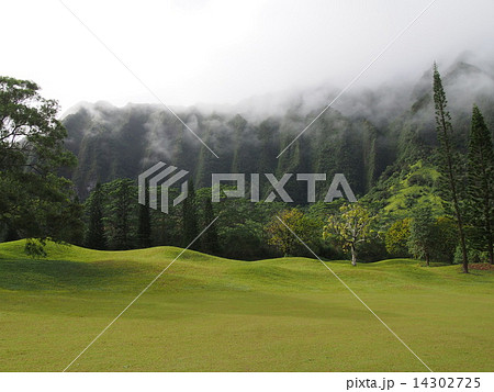 コオラウゴルフクラブ コオラウゴルフクラブ 14302725