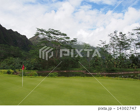 コオラウゴルフクラブ コオラウゴルフクラブ 14302747