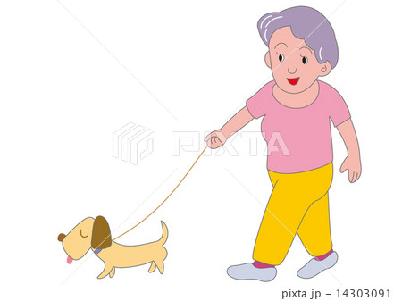 犬を連れて散歩をする高齢女性のイラスト素材