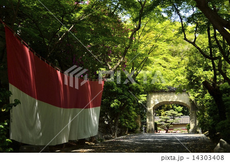名古屋大仏:桃源寺の山門 名古屋大仏:桃源寺の山門 14303408