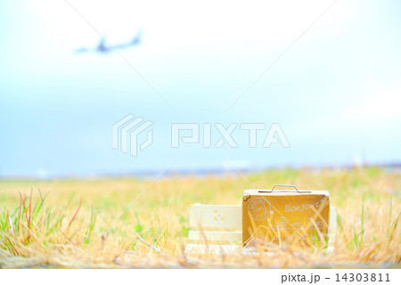 旅心 旅心 14303811