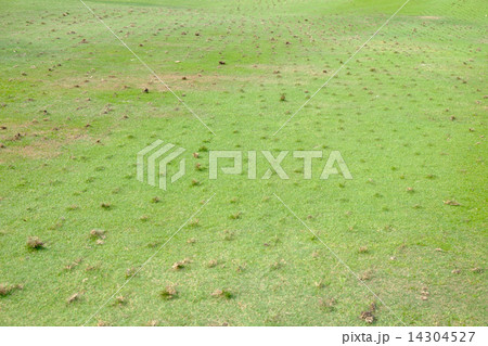 golf course repair 14304527